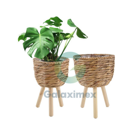 water-hyacinth-plant-pot-stand